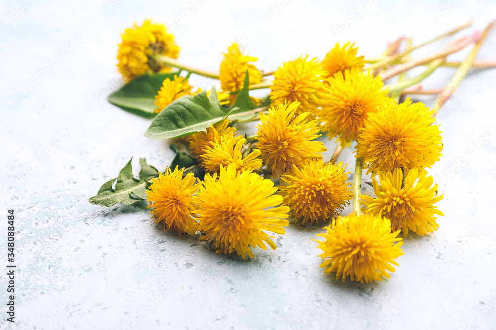 Beautiful dandelions on light background