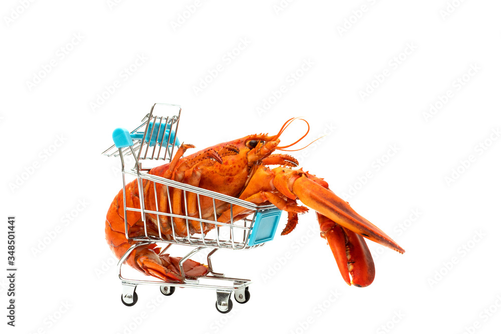 Shopping cart with american lobster. 