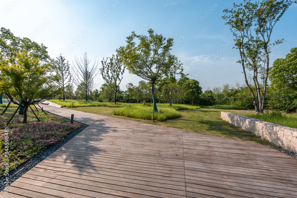 road in park