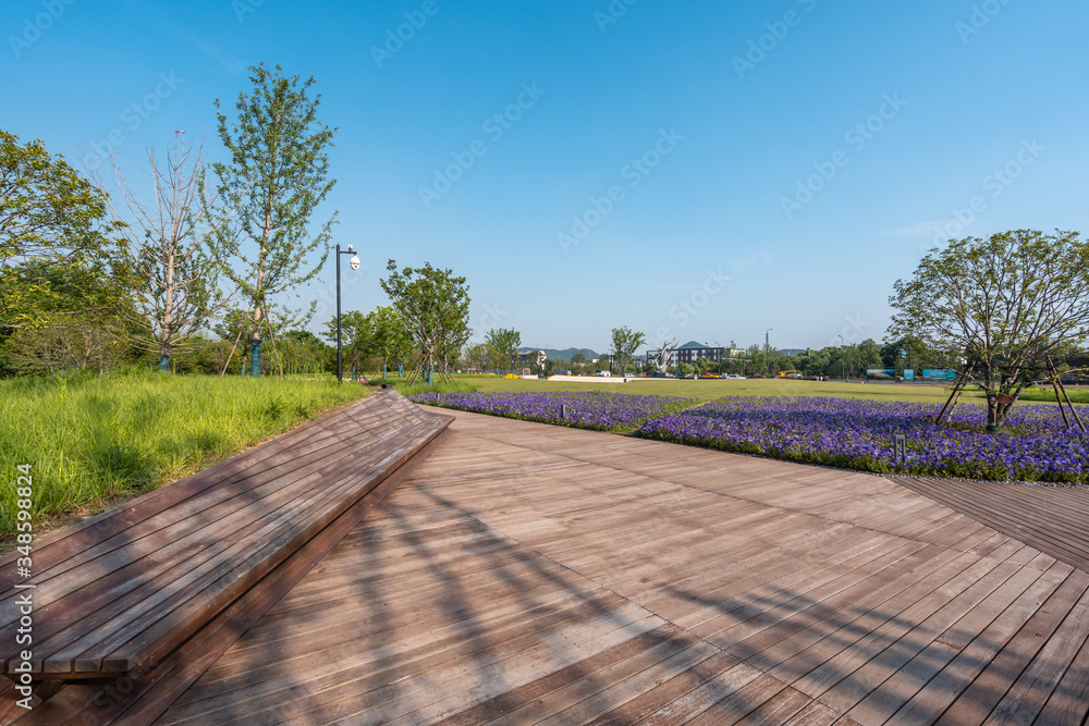 road in park