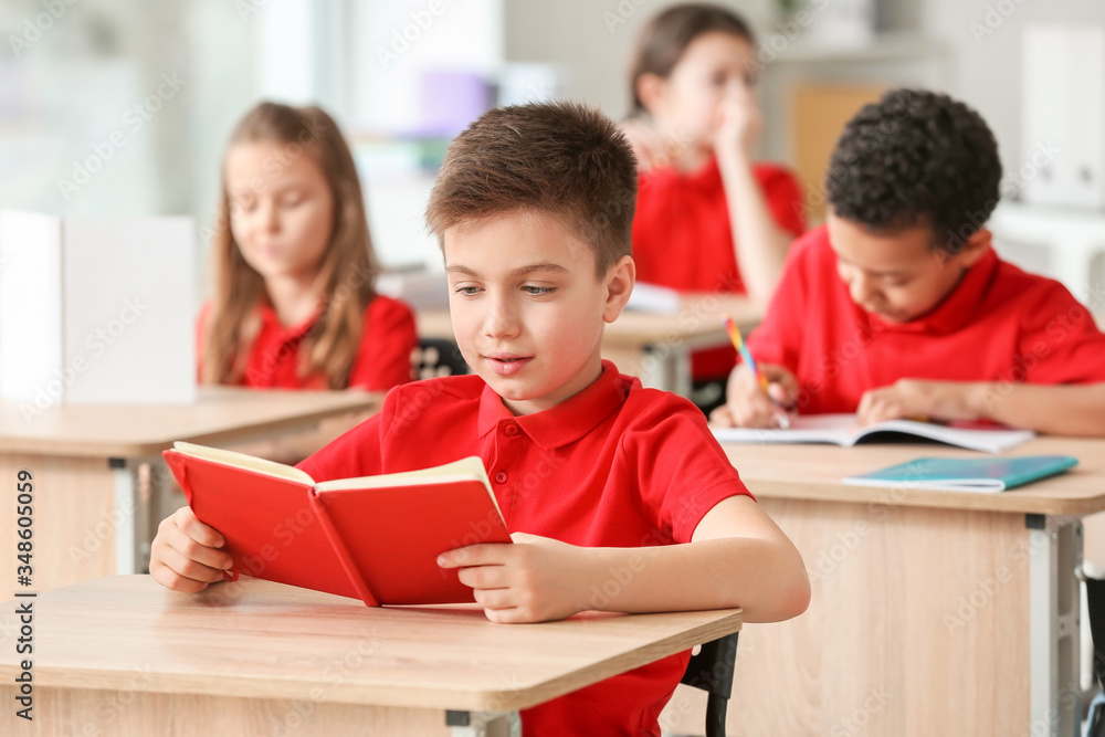 Cute little pupils during lesson in classroom