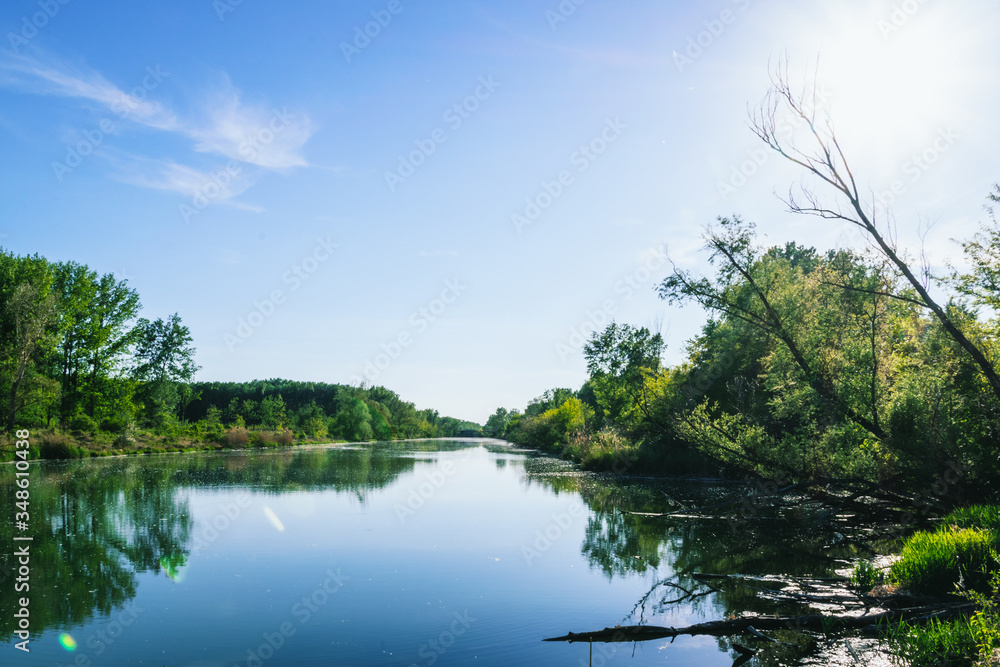 Spring walk in floodplain forests