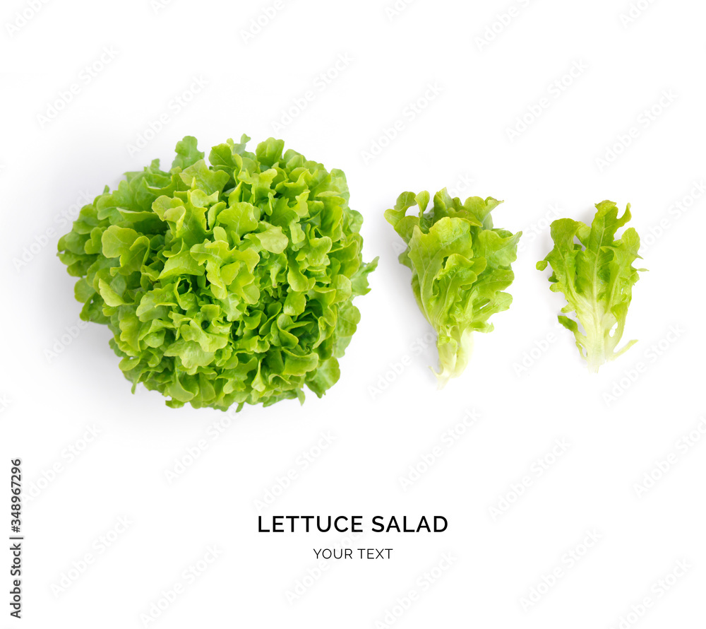 Creative layout made of lettuce salad . Flat lay. Food concept.