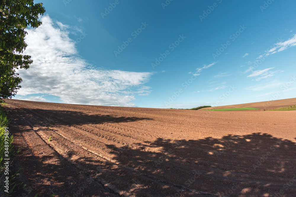 fertile agricultural fields for sowing and growing crops