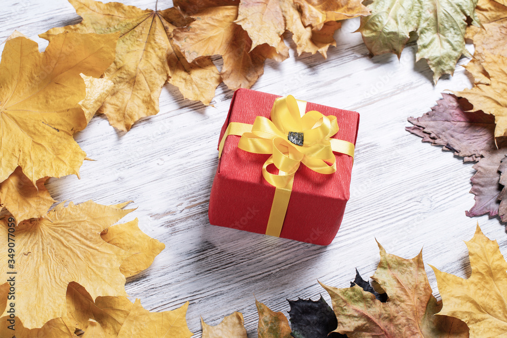 Bright autumn composition with gift box