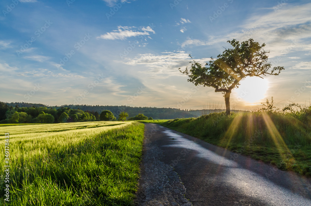 Abendstimmung im Taunus Taunusstein Hessen