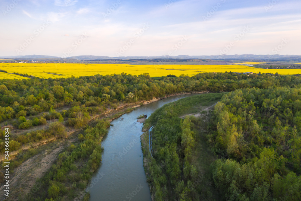 Flight through majestic river Dnister, lush green forest and blooming yellow rapeseed fields at suns