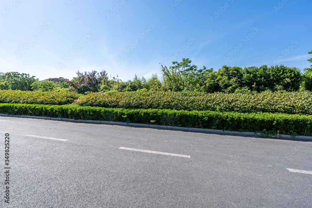 road in the park