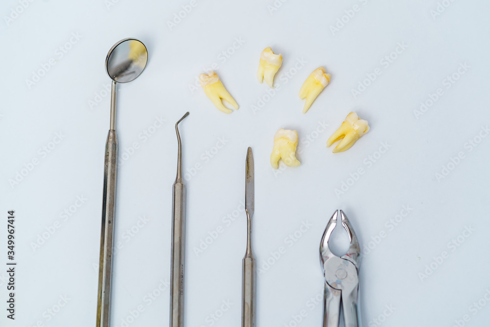 Dental set, mirror, probe, with tooth, concept care isolated on white background.