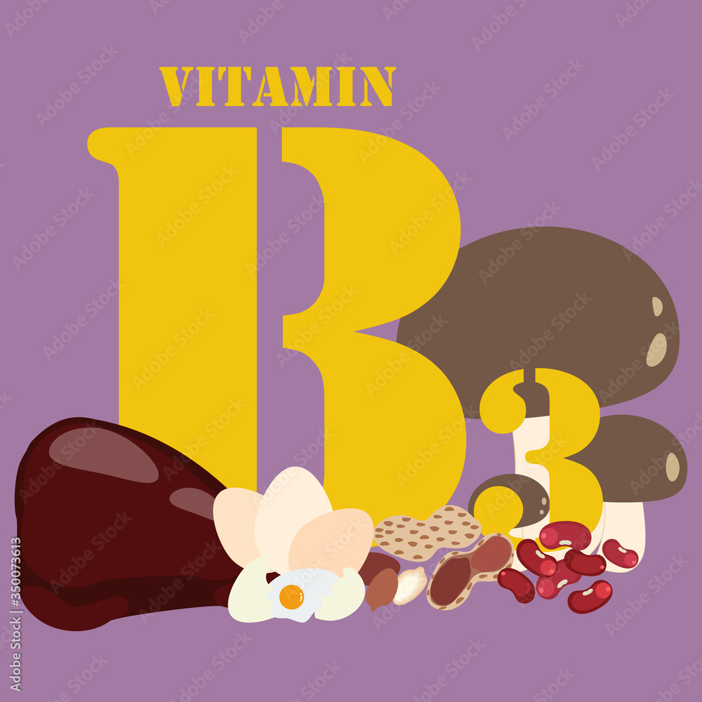 Vitamin B3 healthy nutrient rich food vector illustration