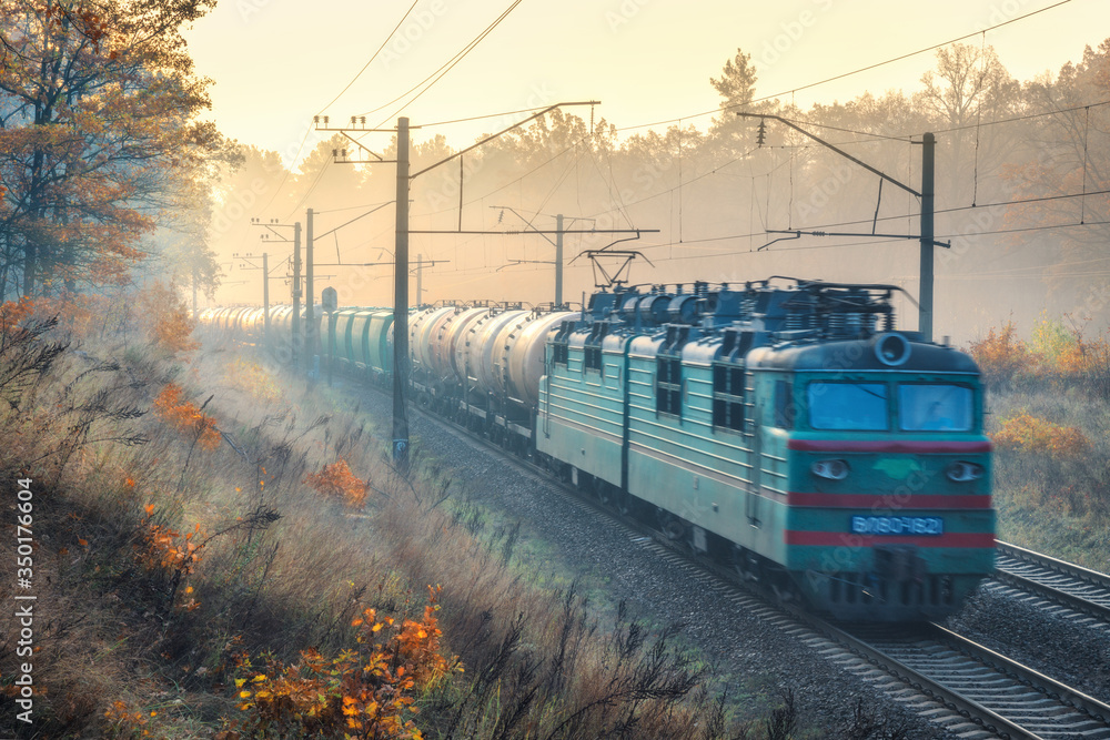 Moving freight train in beautiful forest in fog at sunrise in autumn. Colorful landscape with train 