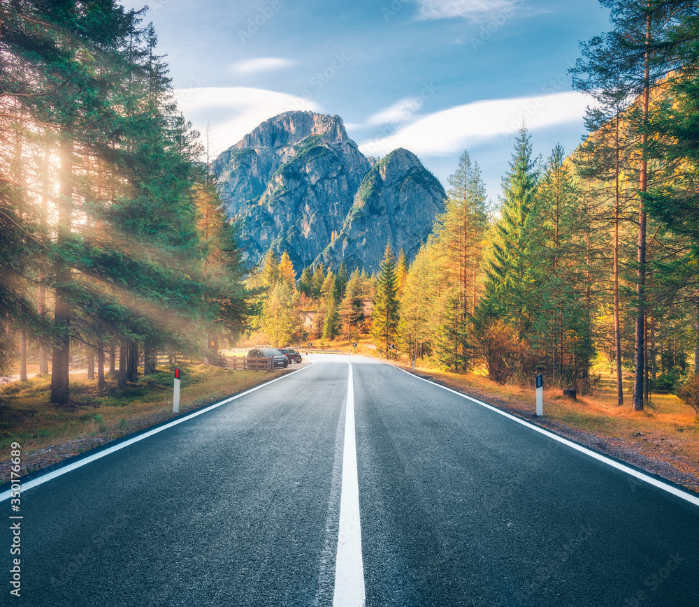 意大利夏天日落时绿色森林中的道路。美丽的山路，五颜六色的树木