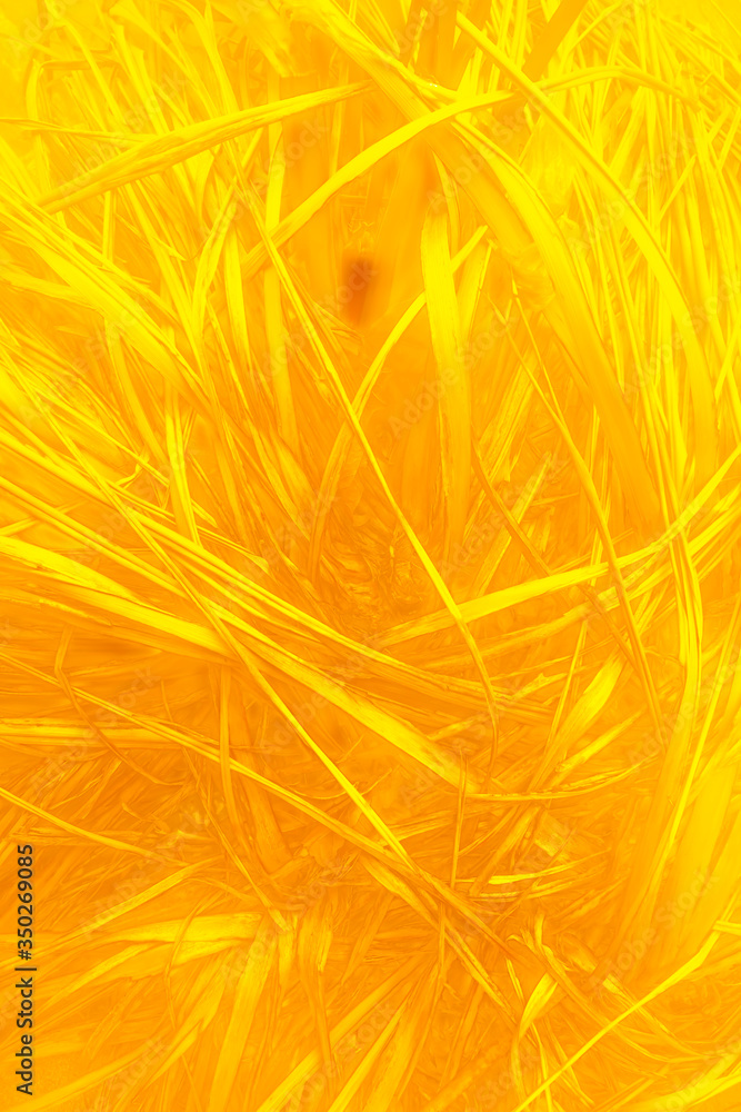 Tall grass.
Yellow Monochrome illustration who depicts a bunch of tall grass in a field.