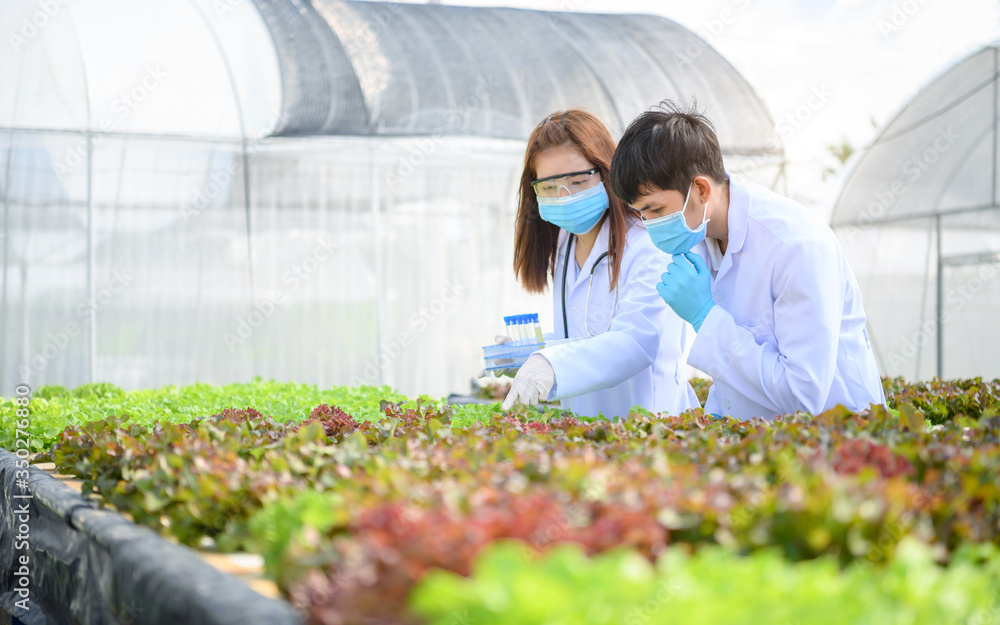 一组科学家正在注意水培蔬菜的实验结果。