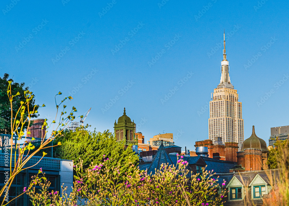 Manhattan, New York, USA - August 29, 2019: High Line Park in Manhattan. View of the surrounding hou