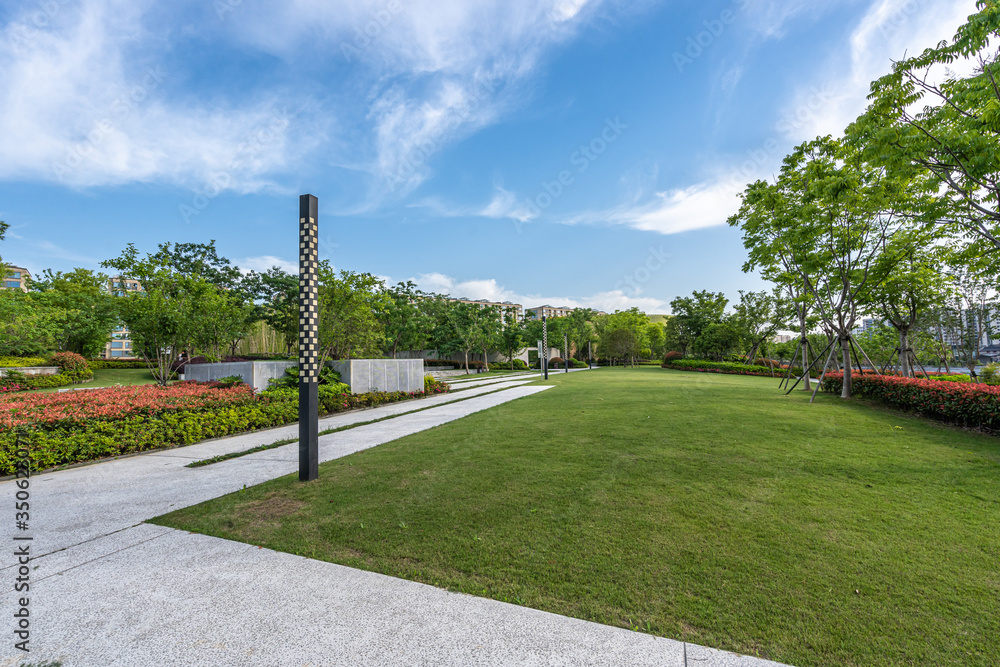 road in park