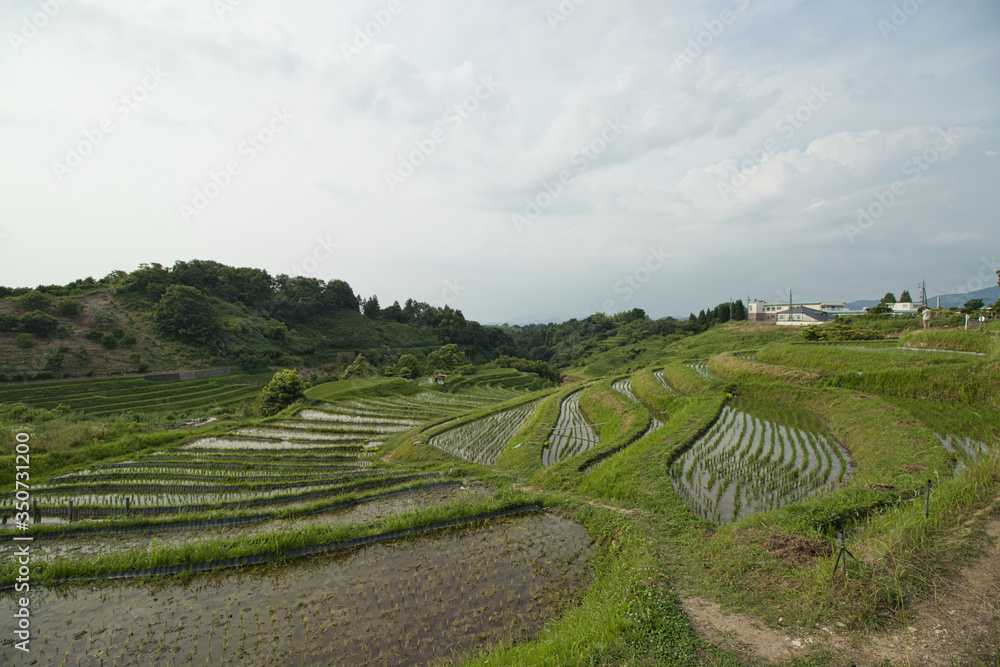 大阪　千早赤阪村の棚田