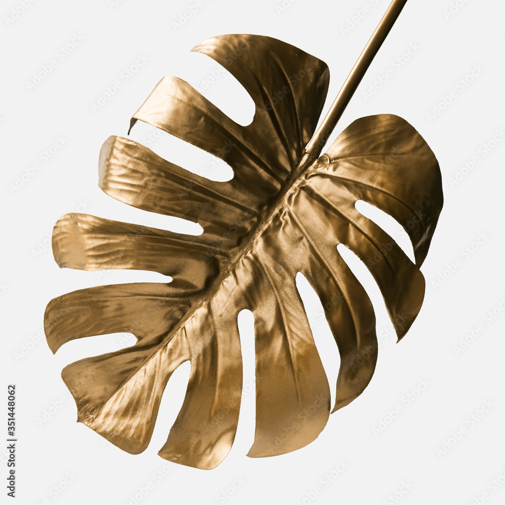 Golden monstera leaf on a white background mockup