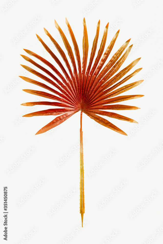 Red dyed palm leaf mockup