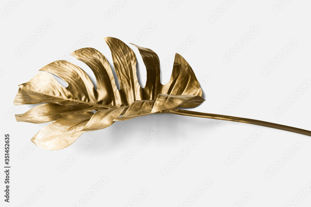 Golden monstera leaf on a white background mockup