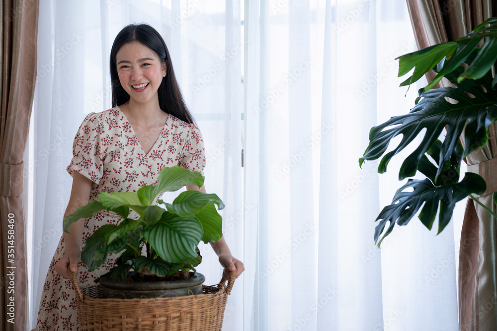 亚洲女孩给家里的植物浇水，这张照片可以用来做圆叶Calathea orbifolia