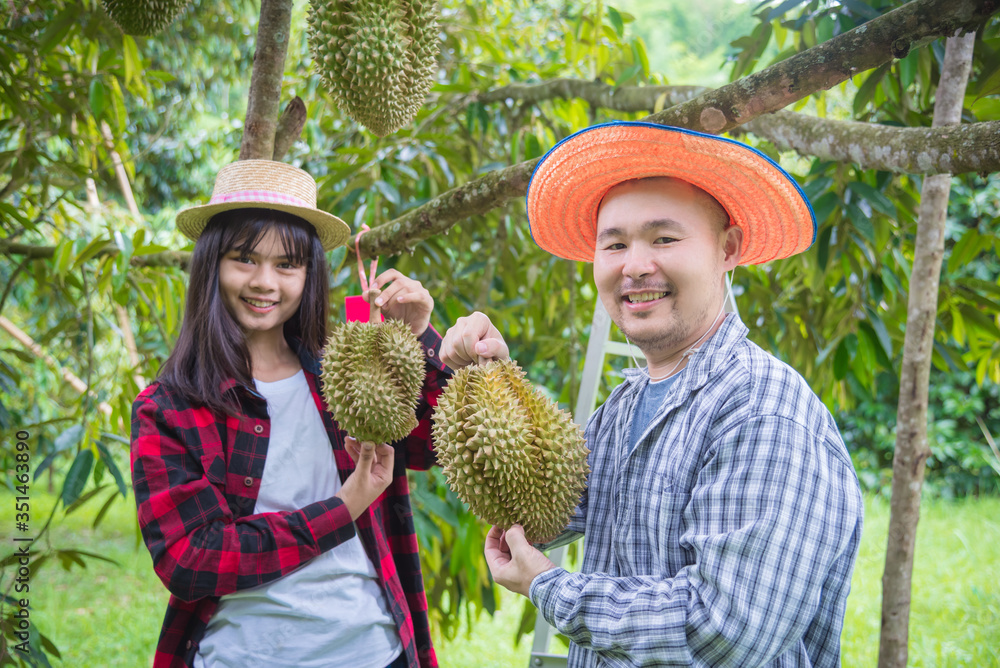 Asian farmer showing Durian in their garden and smiles happily . Durian is a king of fruit in Thaila