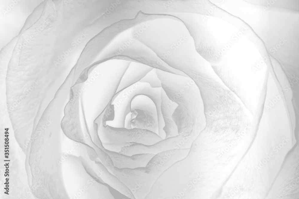 Abstract silver flower background design