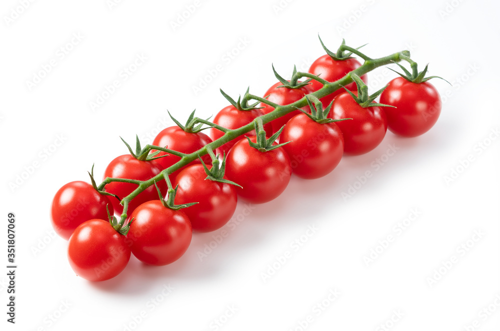 Tomatoes on a white background