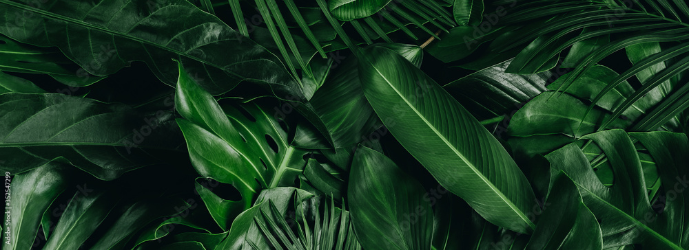 Creative tropical green leaves layout. Nature spring concept. Flat lay.