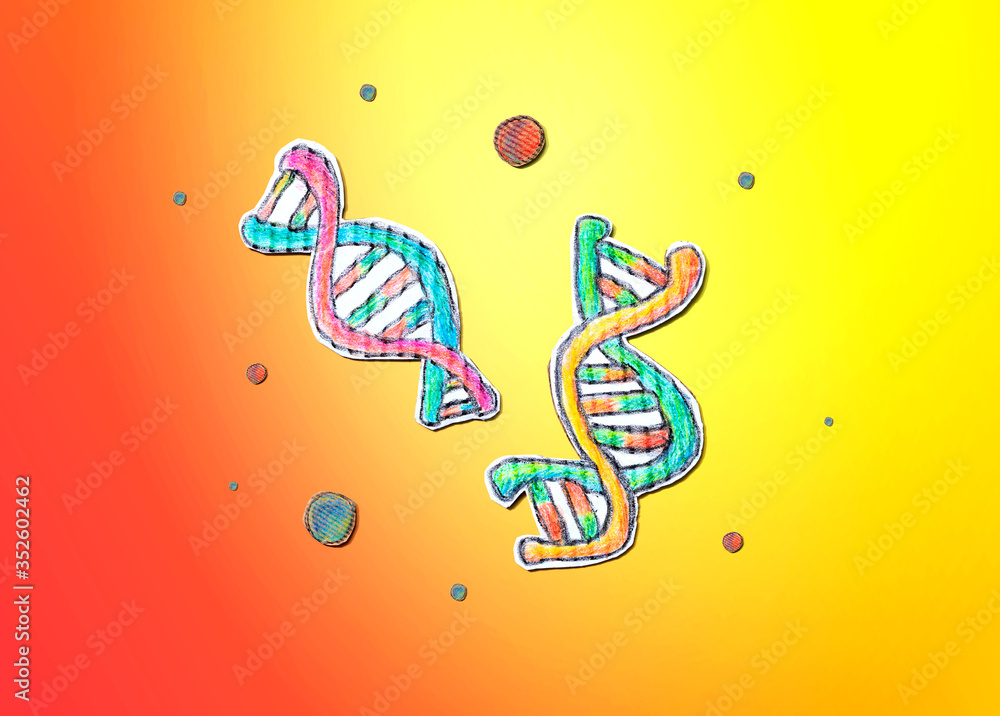 DNA Sequencing theme with cardboard craft drawings - flatlay