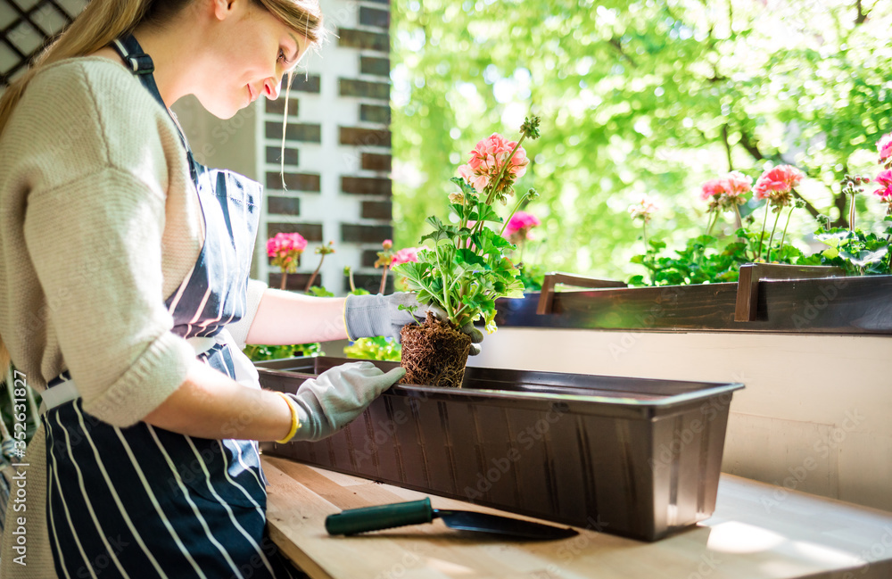 Woman putting flowers into the pot on balcony