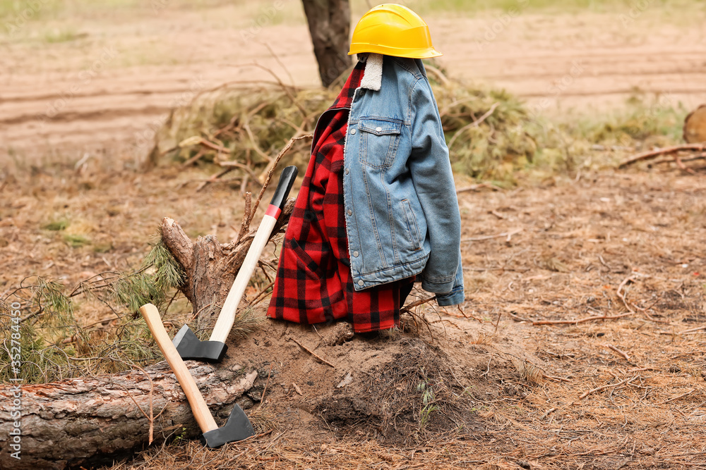 Axes and uniform of lumberjack in forest