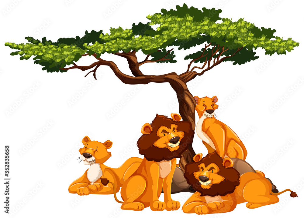 Lion under the tree isolated