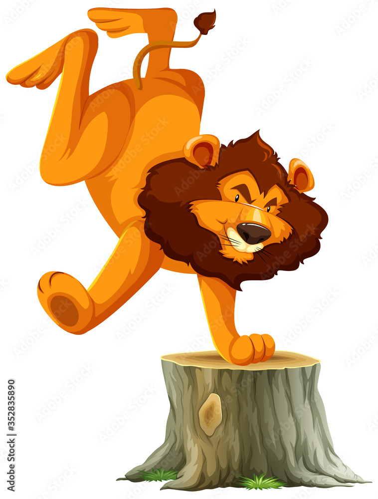 Lion standing on one hand