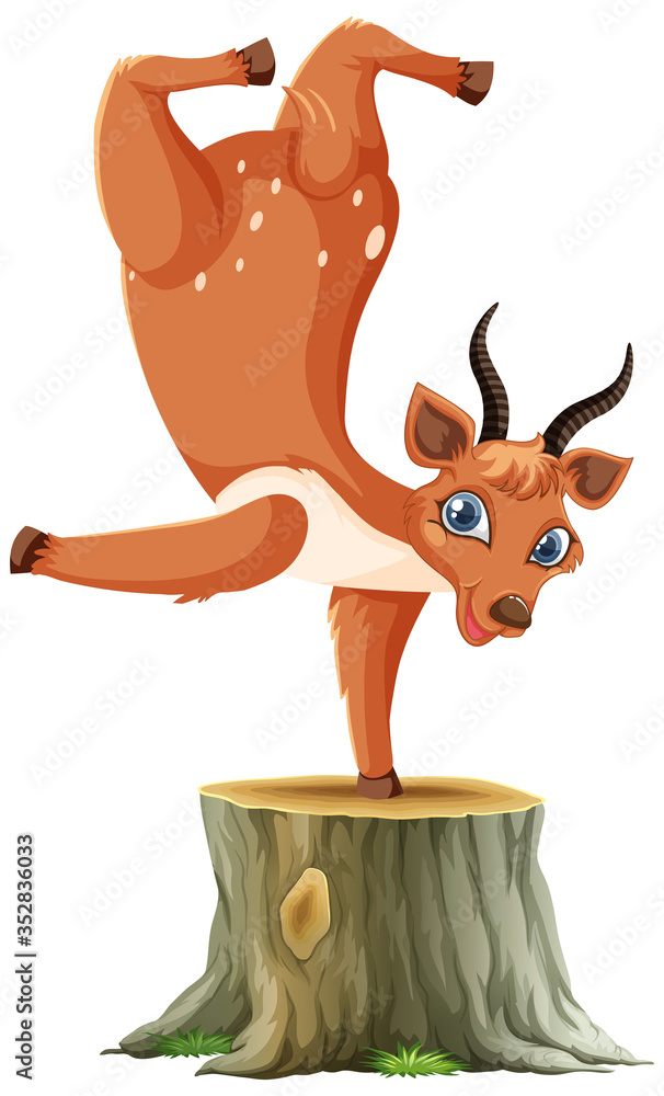 Deer standing on one hand