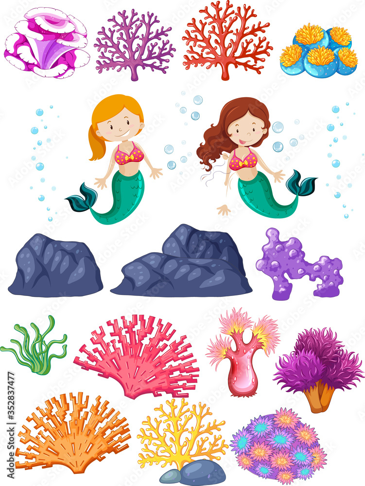 Set of mermaid and coral reefs on white background