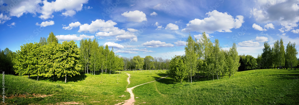 Beautiful bright colorful summer landscape park with green grass field, trees against blue sky with 