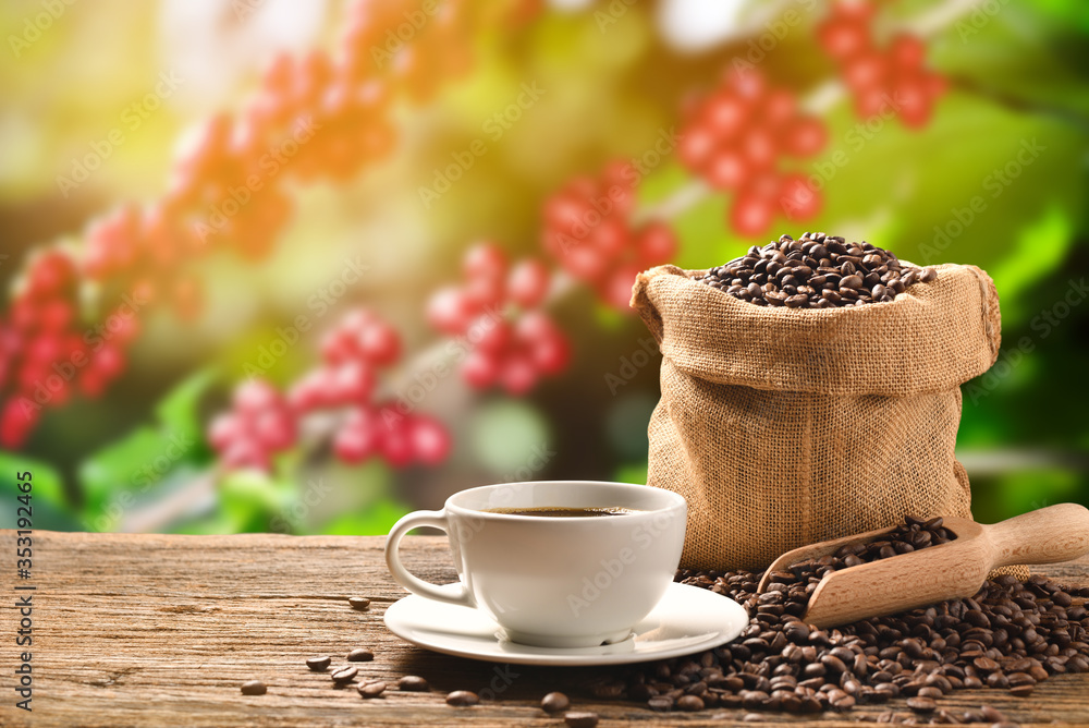 Cup of coffee and coffee beans in burlap sack on coffee tree background..