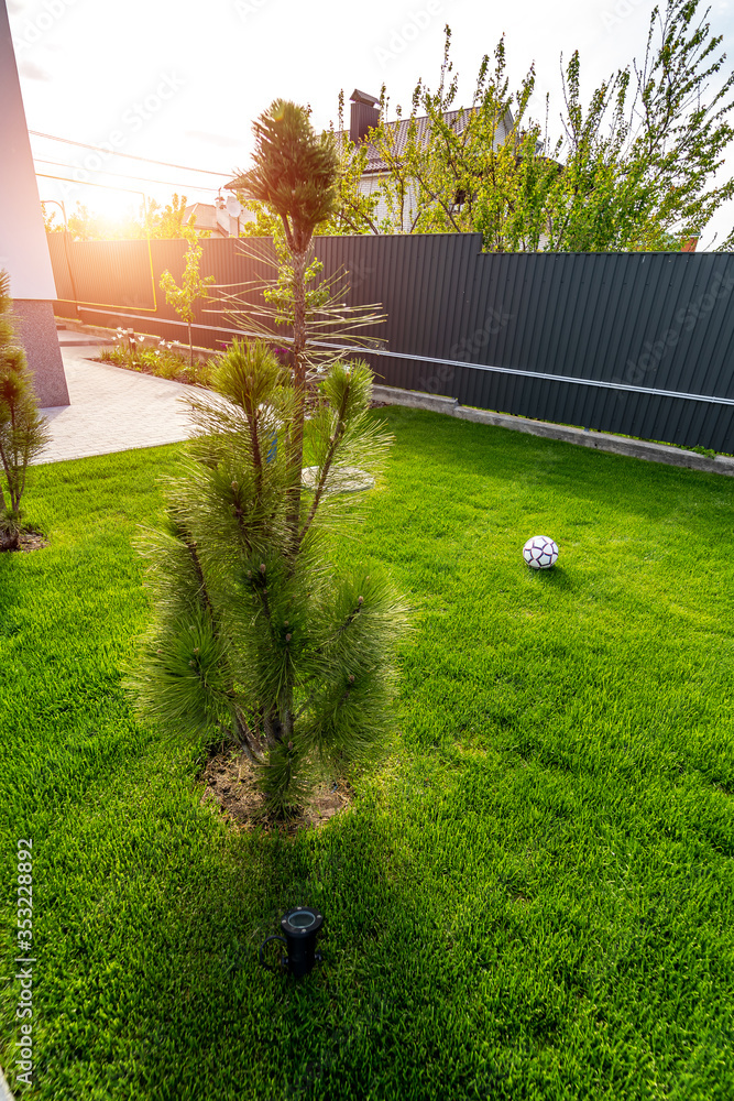 House with gorgeous outdoor landscape. Green grass and nice small trees.