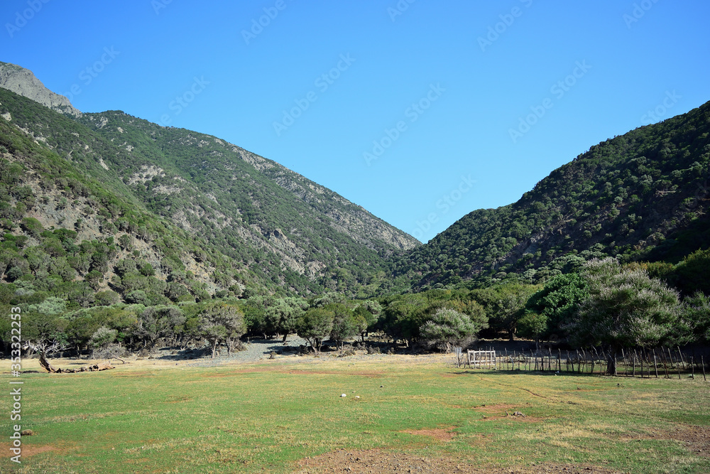 semi-desert vegetation at wild and beauty Kipos beach in Samothrace island, Samothraki, Greece, Aege