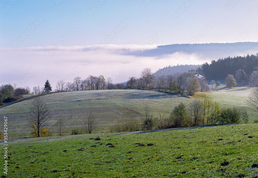 sommets vosgiens dépassant du brouillard à l'automne en Alsace en France