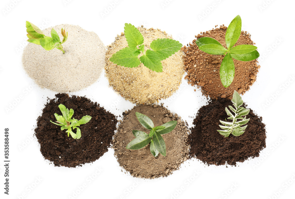 Heaps of different soils with young plants on white background