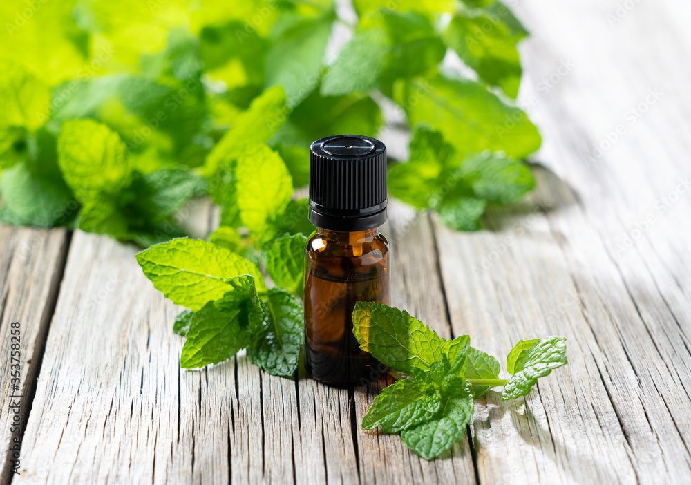 Mint essential oil and mint leaves set against the backdrop of an old tree