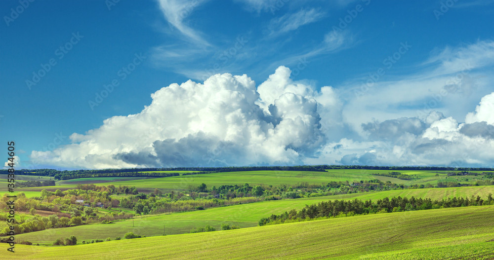 green agricultural field of sprouted young wheat on private agricultural land with trees on the hori