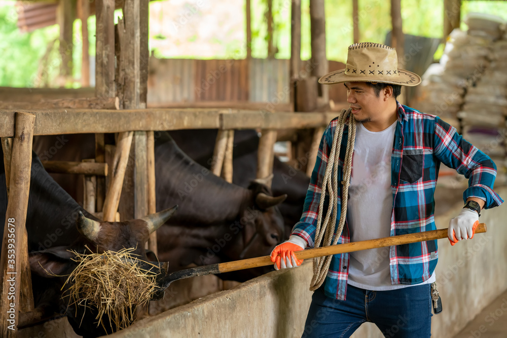 肉牛养殖户，养殖户正在农场工作。