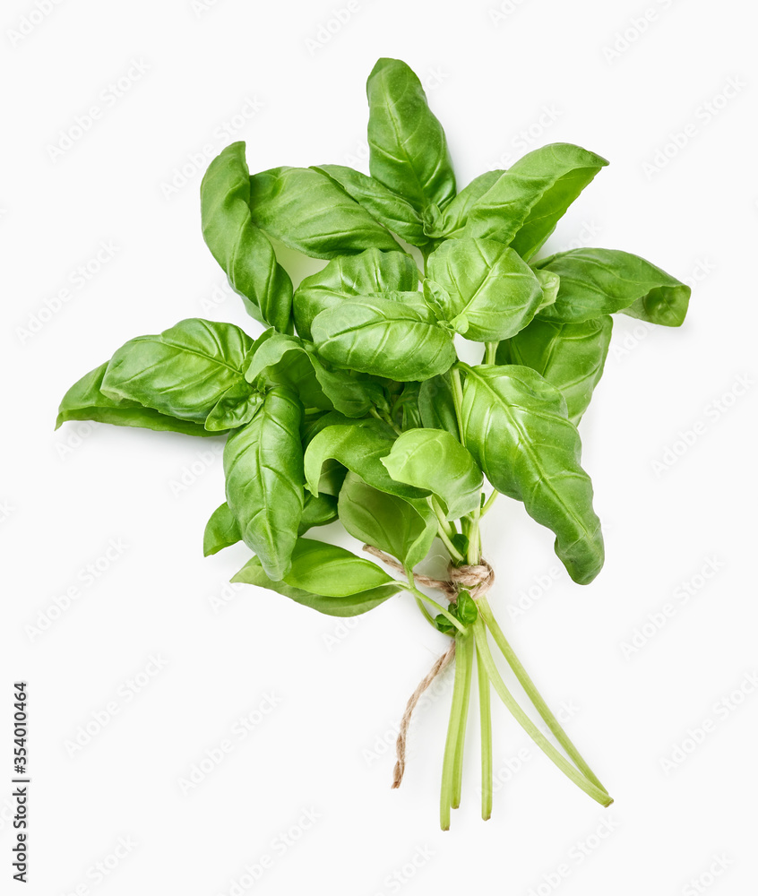 Green fresh basil isolated on white. Top view of basil leaves.