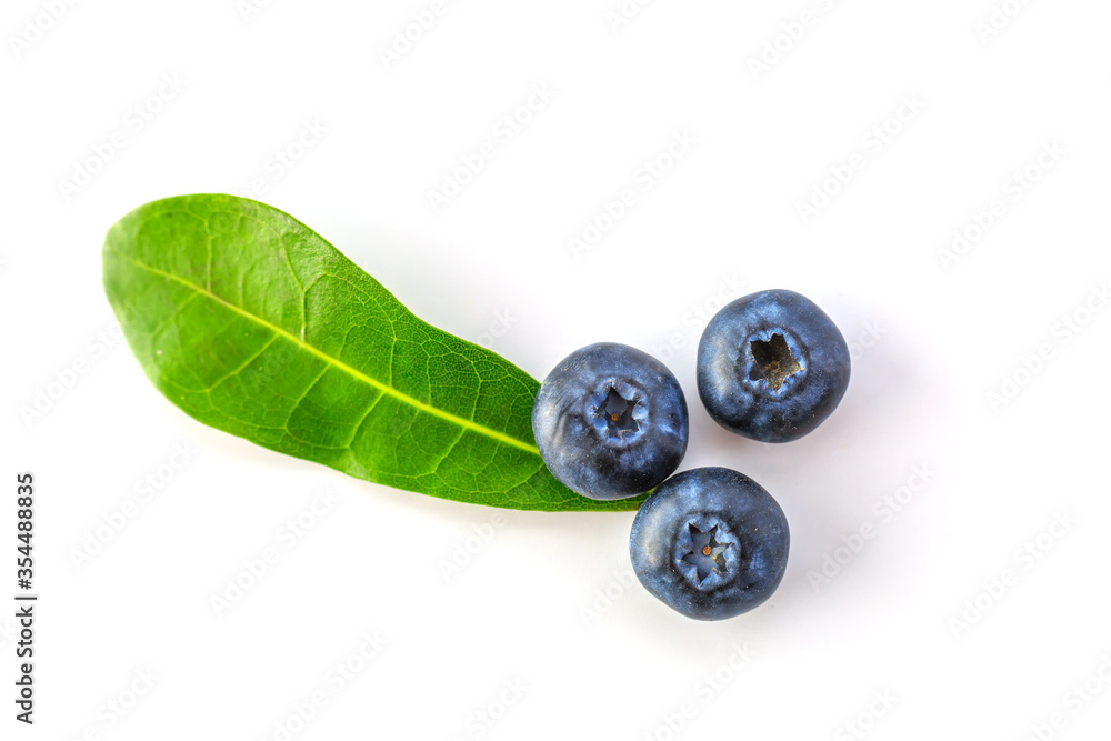 Fresh blueberries on a white background