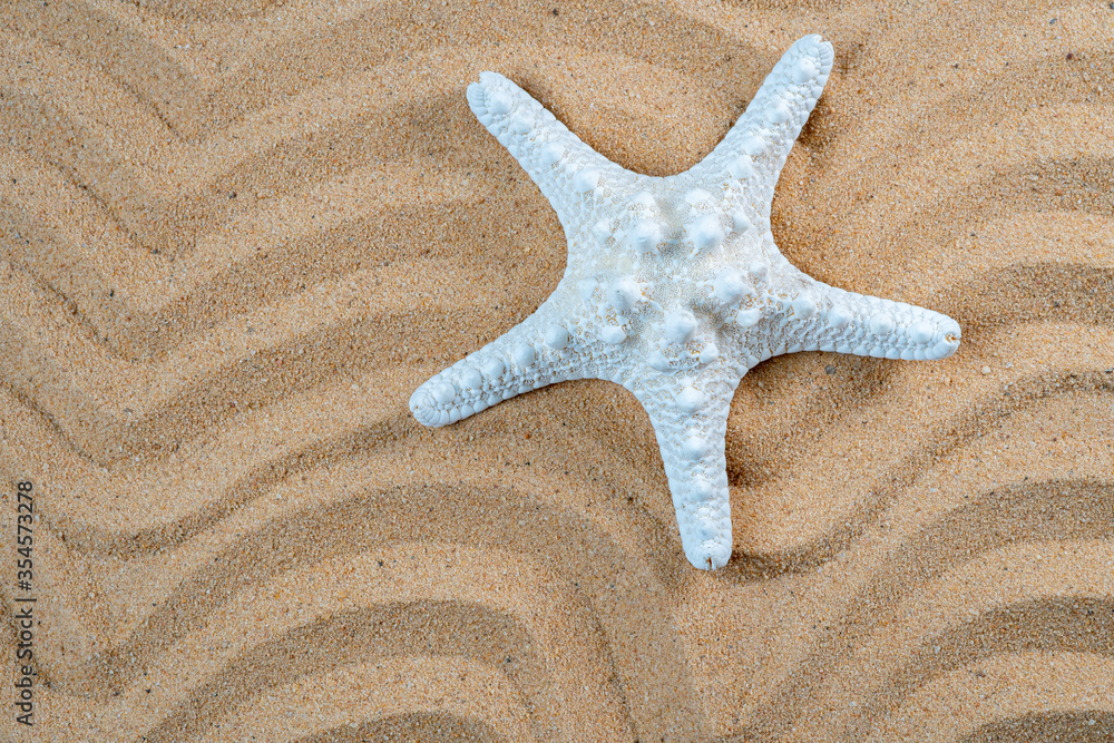 top view starfish on line wave sand texture background