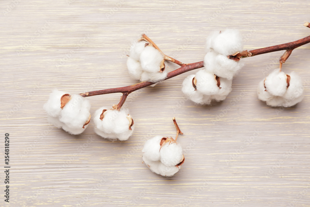 Beautiful cotton branch on wooden background