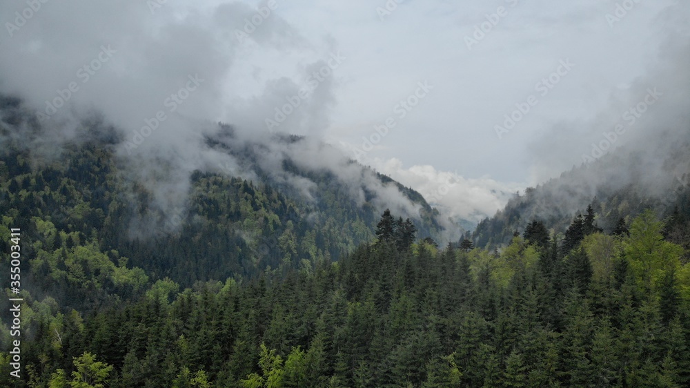 Carpathian mountains in the fog. Mountain peaks among beautiful clouds at summer. Carpathian mountai